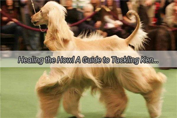 Healing the Howl A Guide to Tackling Kennel Cough in Our Furry Companions